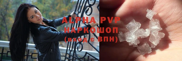 индика Белоозёрский