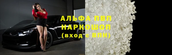 индика Белоозёрский
