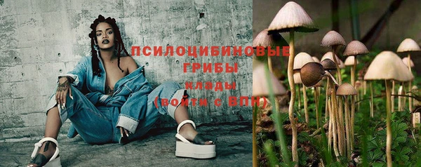 индика Белоозёрский