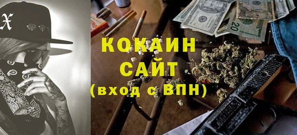 индика Белоозёрский