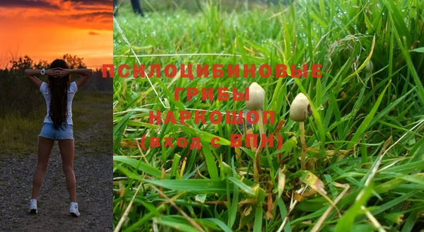 ALPHA PVP Беломорск