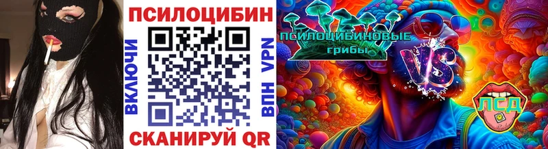 Псилоцибиновые грибы Psilocybe  Малая Вишера 